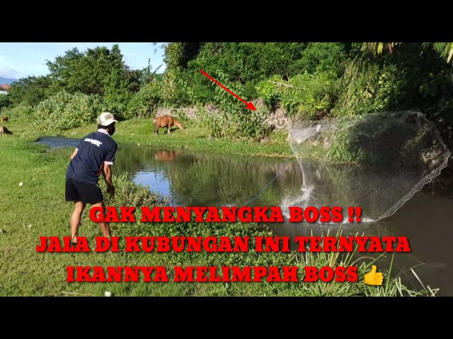 COBA JALA IKAN DI SUNGAI INI TERNYATA MELIMPAH JUGA IKANNYA class=