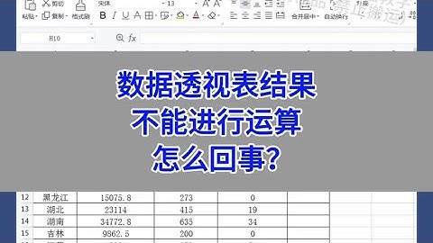 WPS Excel：数据透视表统计出来的数据结果
