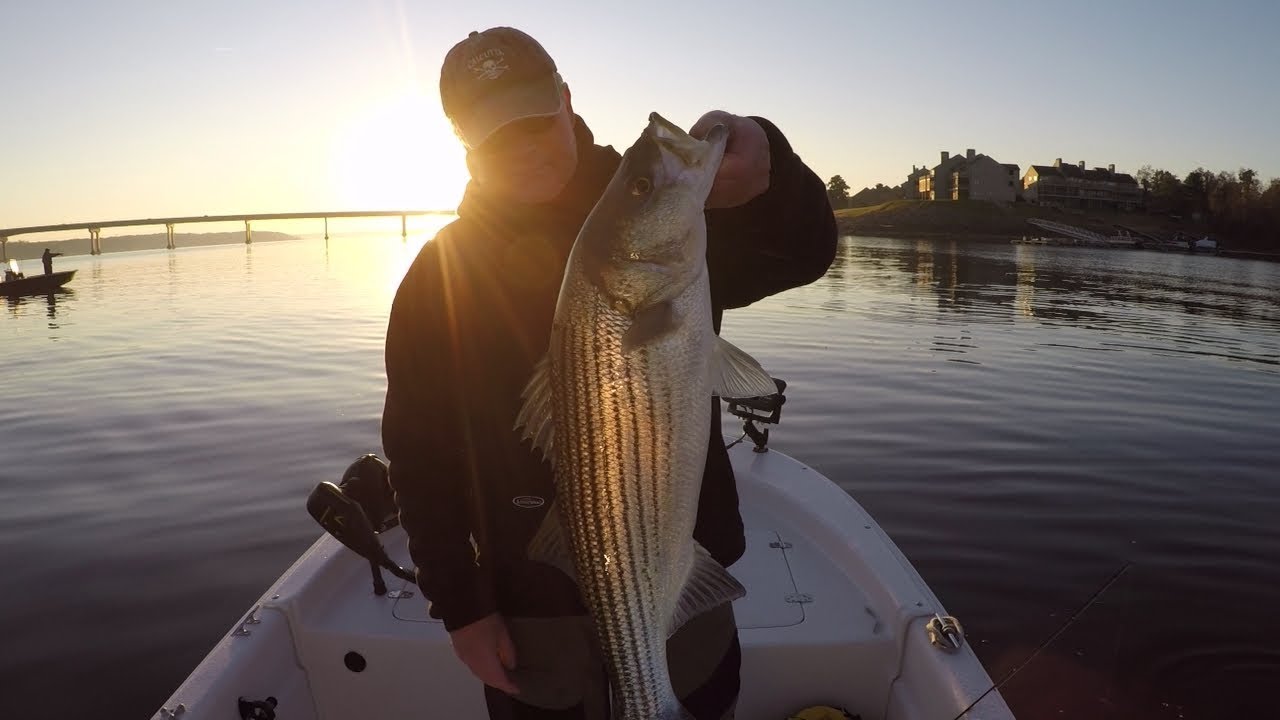 kerr lake striper fishing YouTube
