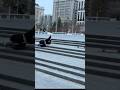 2.22.2026