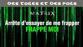 Matrix, La Trilogie - Cyberpunk & Dystopie - critique