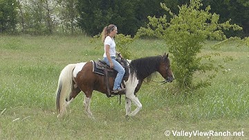 Johnny - trail riding! - ValleyViewRanch.net
