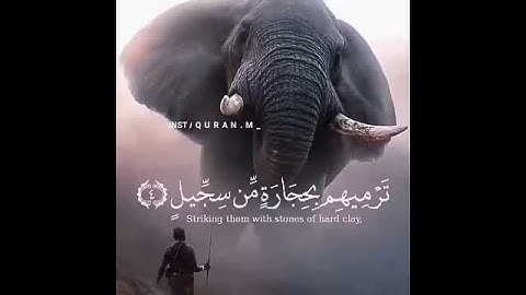 سوره الفيل رائعه