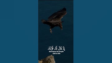 إن قارون كان من قوم موسى فبغى عليهم#القرآن_الكريم #راحة_نفسية #quran #سعود_الشريم #تلاوات #آيات