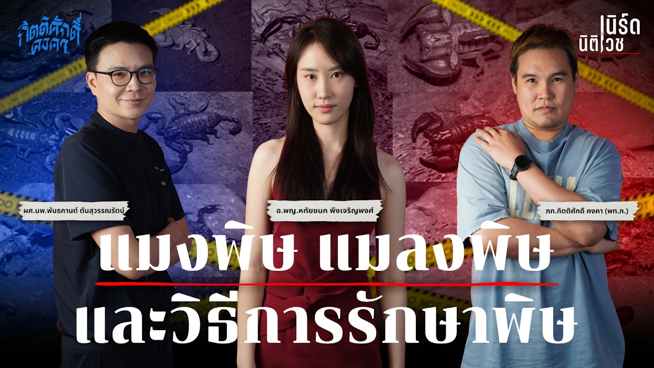 แมงพิษ แมลงพิษและวิธีการรักษาพิษ | เนิร์ดนิติเวช EP.26