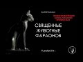 Священные животные фараонов. Лекция Виктора Солкина. Только презентация.