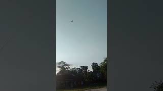 masukberanda dance joget tiktok viral layangan viral kite short shorts trending