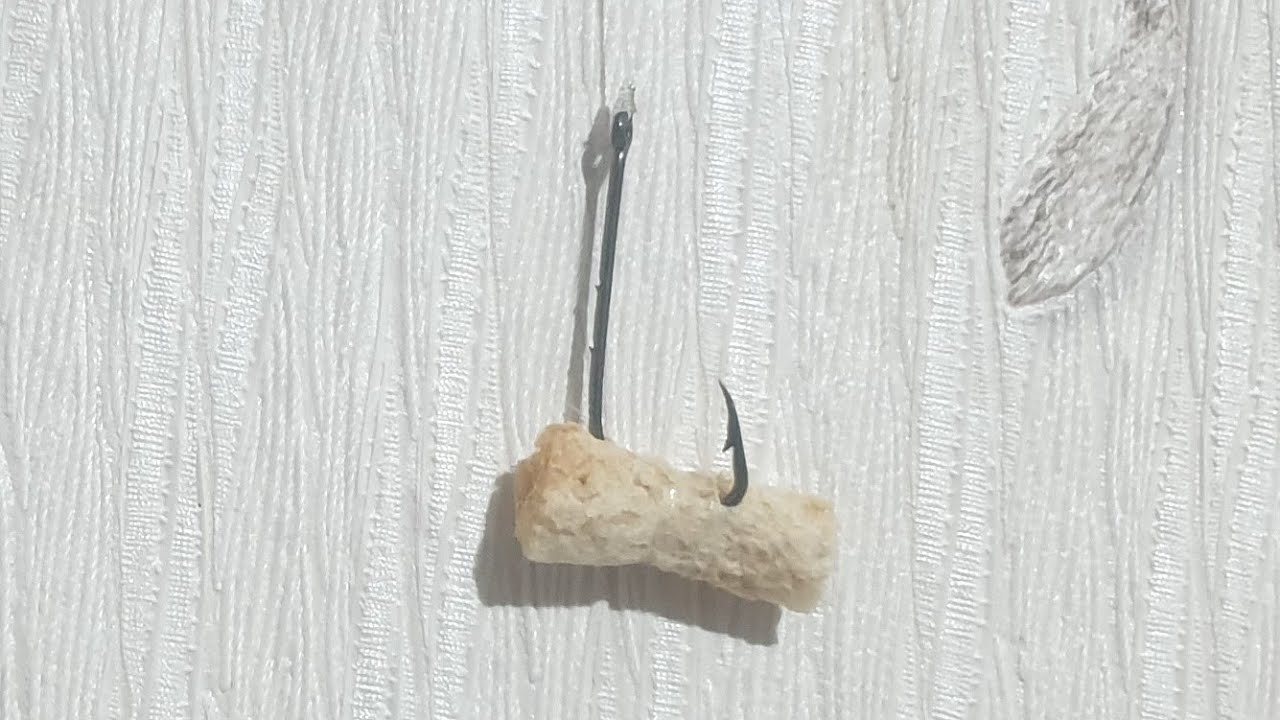 Balıq Ovu. Kutum Balıqı Üçün Ən Effektiv Yem Bağlama Üsulu.