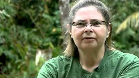 Ayawaska Retreat, Amazon Peru  - Temple of the Way of Light