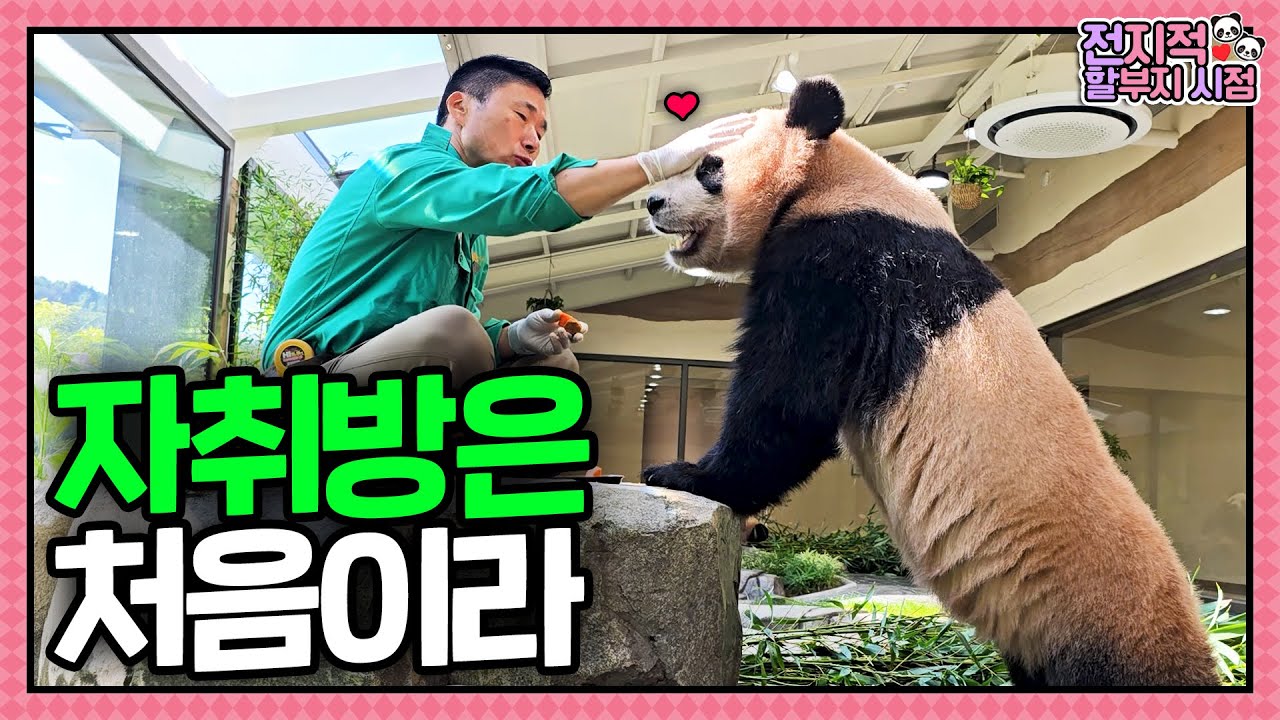 [Всезнающая точка зрения] 234. Капитан Лу и Хуэй покоряют крытую игровую площадку 🎠❤️