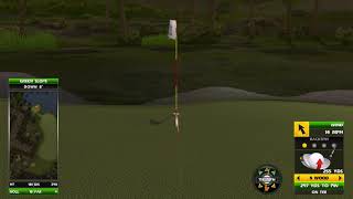 Golden Tee Great Shot on Hidden Temple!