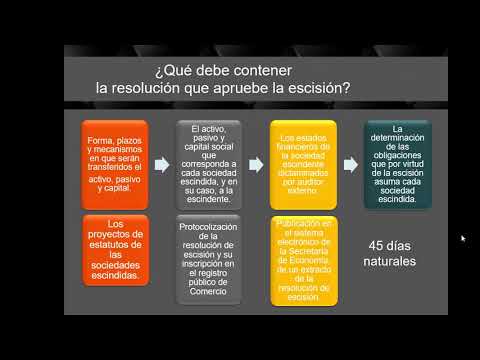 Video: ¿Durante la escisión todas las divisiones son?