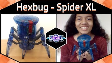 A Big RC Spider Bot! | STEAM Robot Reviews | Hex Bugs: Hex Bug Spider XL
