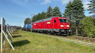 Blauer Autozug Sylt (RDC) wird von Sylt-Shuttle (DB) abgeschleppt