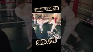 #knockout #karate #martialarts #okinawakarate #sindoryu #fight #dojo #okinawate