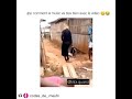 Mort De Rire Comédie Africains 