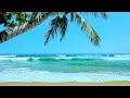 Tropical beach ambience  white noise for stress relief meditation  sleep  10 hours