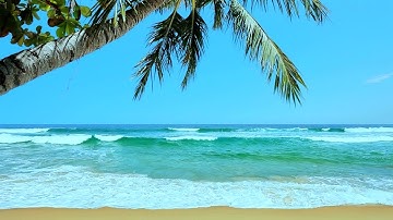 Tropical Beach Ambience | White Noise for Stress Relief, Meditation & Sleep | 10 Hours