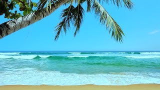 Tropical Beach Ambience | White Noise for Stress Relief, Meditation & Sleep | 10 Hours screenshot 4