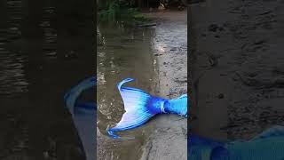 Mermaid Splashing in the Water