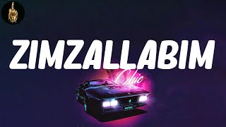 Zimzallabim (Lyrics) - Mos Def