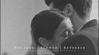 Pee Jaun - Slowed | Reverbed.
