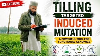 TILLING in Plant Breeding | Modern Mutation Breeding Technique Explained
