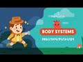 Quiz on Video Tutorial