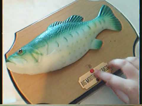 video 1 - Day 1
Ok, so I only got this job today and he's already assigned me a task: make a version of billy bass for 2024. It seems that as soon as he entered the room 