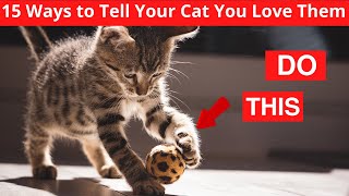 Famous The Secret Language of Cats: 15 Ways to Show Your Feline Friend You Care Profile