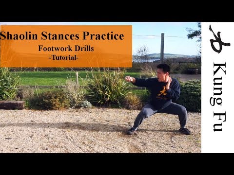 Shaolin Stances Drills Training