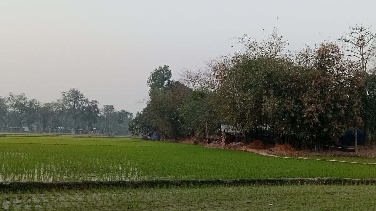 Md Khorshed Vay is live 🥀🥀গ্রামের চারপাশের দৃশ্য দেখতে কেমন  এসো নাইট লাইভে গল্প করি 🥀🥀