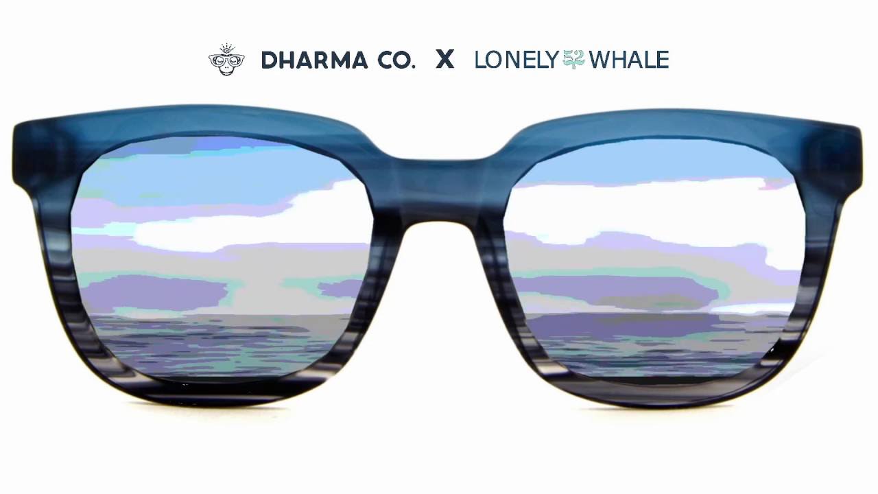 Free Glasses for a Lonely Whale