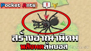 Pocket Ants Ep.1 - สร้างอาณานิคมมดสู้ชีวิต screenshot 3