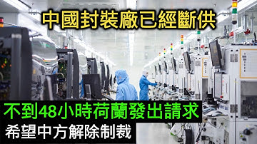 東莞封裝廠已經斷供，不到48小時，荷蘭發出請求，希望中方解除制裁