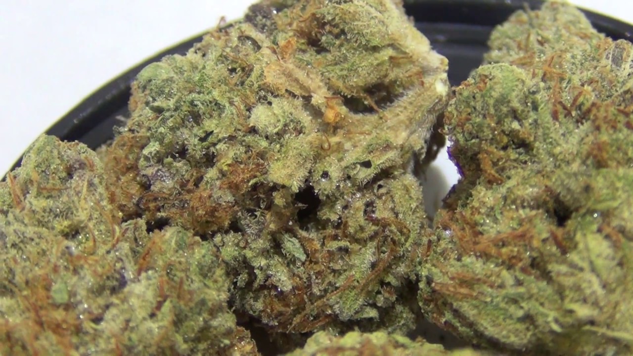 Chongs Choice Indica Shango Cannabis Las Vegas