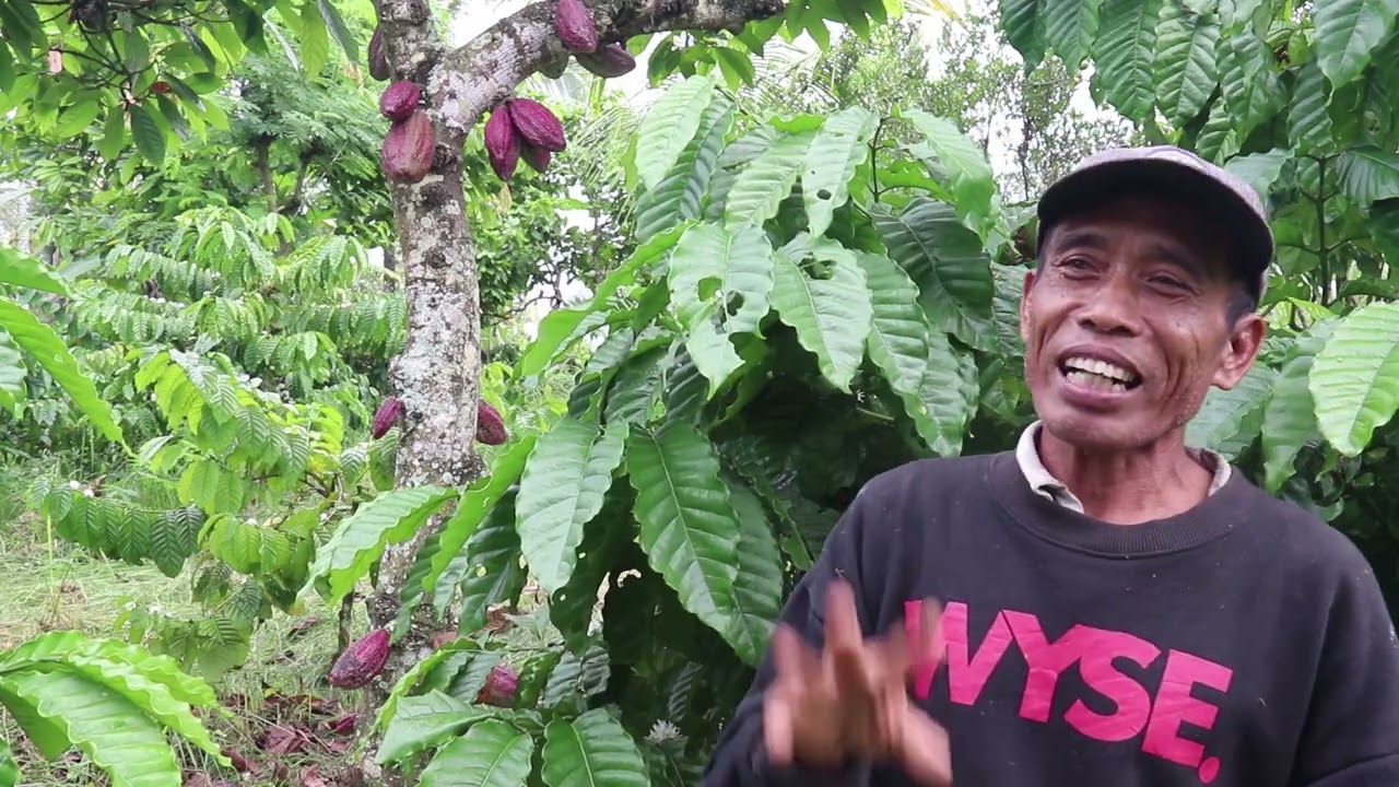 ADAPTASI PERUBAHAN IKLIM TERHADAP BUDIDAYA KOPI DAN KAKAO DI BALI