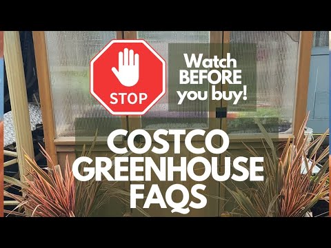 IS THE COSTCO