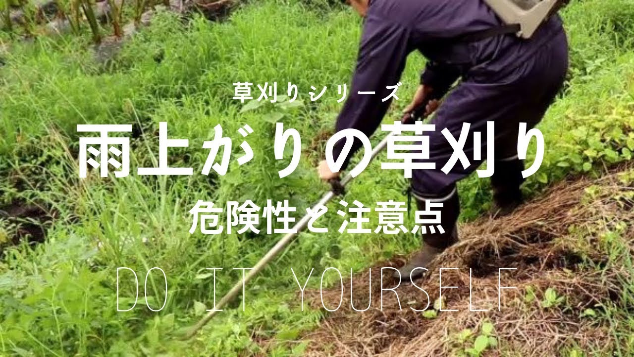雨上がり の 草刈り