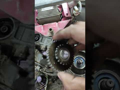 عيب غريب في الفسبا الصباب