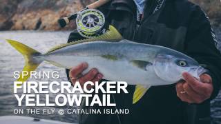 Fly fishing southern california for pacific yellowtail in a previous
springtime session. capt. vaughn podmore and keith munemitsu of the
f3t film salt365 fin...