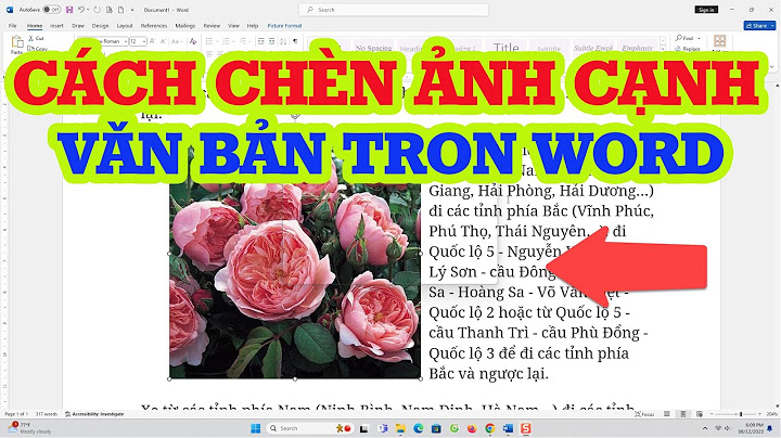 Chèn ảnh một bên văn bản một bên trong word năm 2024