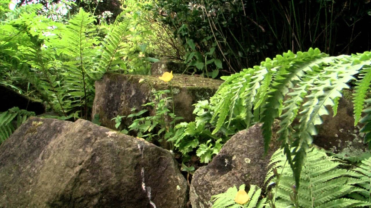 Welcome to The Backhouse , We need You !