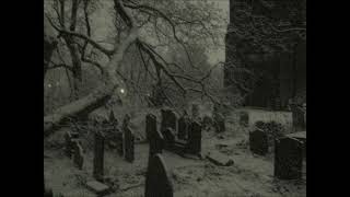 Oblivion Winters - The Weeping Shadows