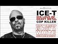Ice-T Talks Why Trump Isn't A White Supremacist, Loving Heavy Metal, Cop Killer Revisited (Pt 2)