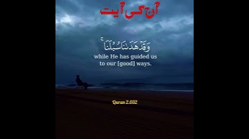 سورة إبراهيم #القران_الكريم #اكسبلور #beautifullquran #quran #quranismylife #surah #راحة_نفسية