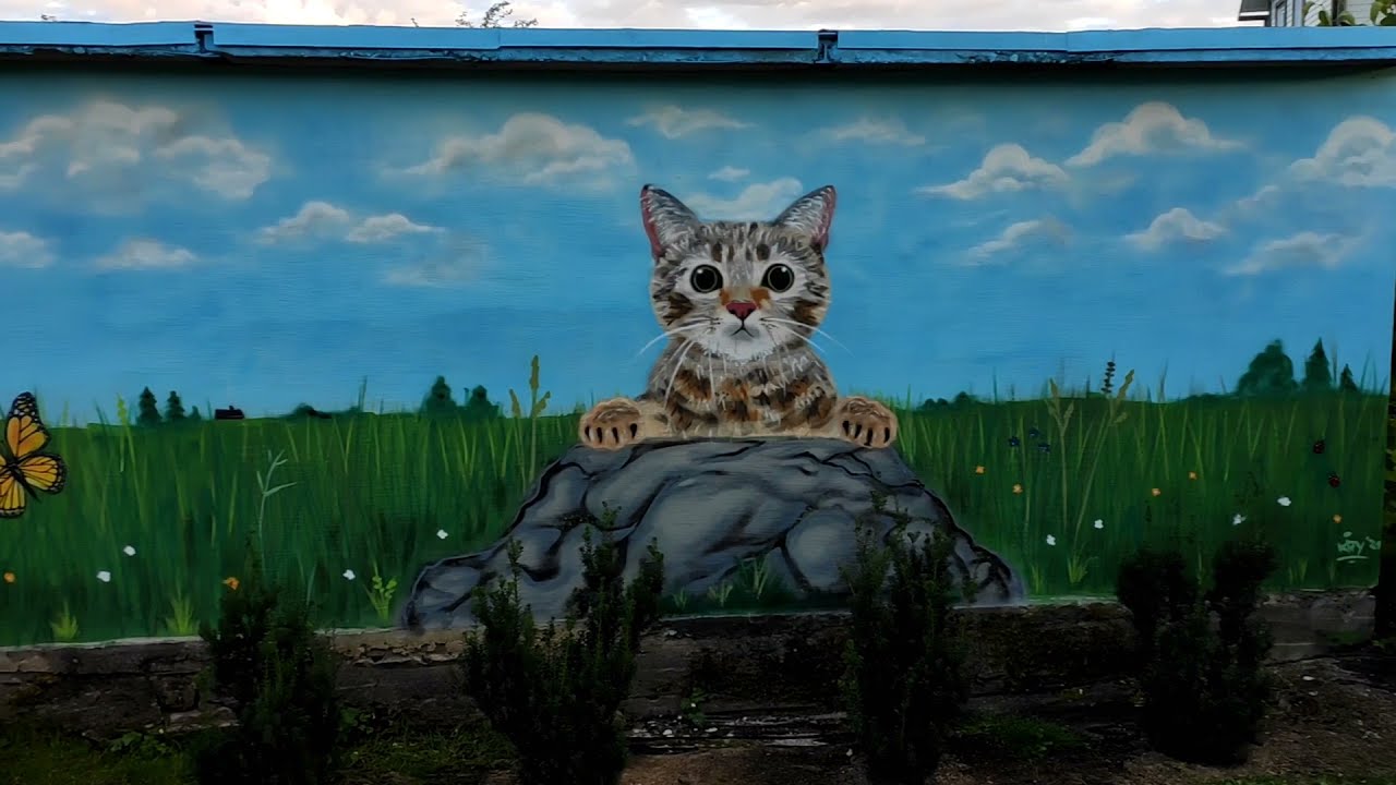 Graffiti art - Cat mural | GoPro view