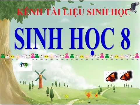 Bài 19 : Thực hành sơ cứu cầm máu