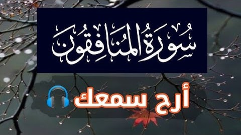 سورة المنافقون - تلاوة هادئة | Surah Al-Munafiqun