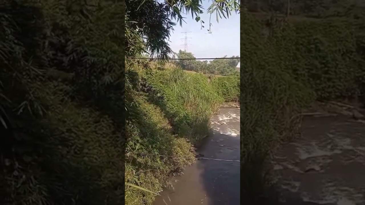 Aayat-ayat yang berkenaan dengan Abu Bakar As Siddiq 